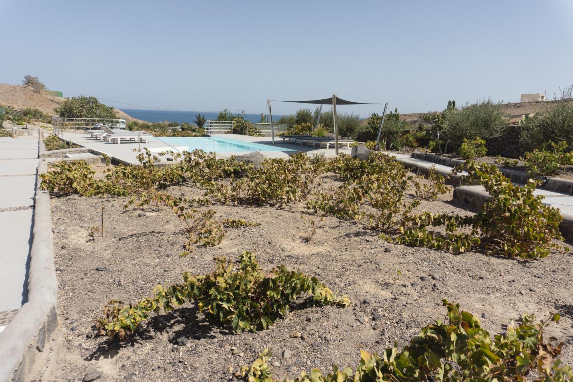Villas Scirocco Fira  Zewnętrze zdjęcie
